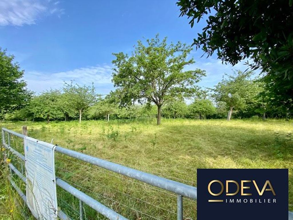 Terrain CONDE SUR VIRE (50890) ODEVA IMMOBILIER