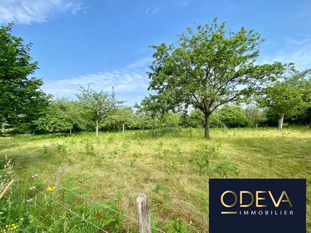 Terrain CONDE SUR VIRE (50890) ODEVA IMMOBILIER