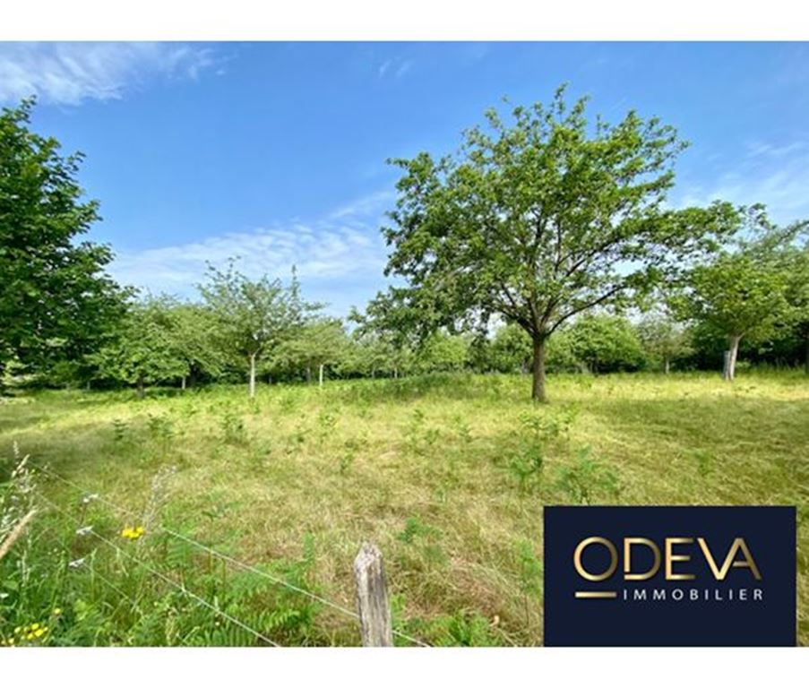 Terrain CONDE SUR VIRE (50890) ODEVA IMMOBILIER