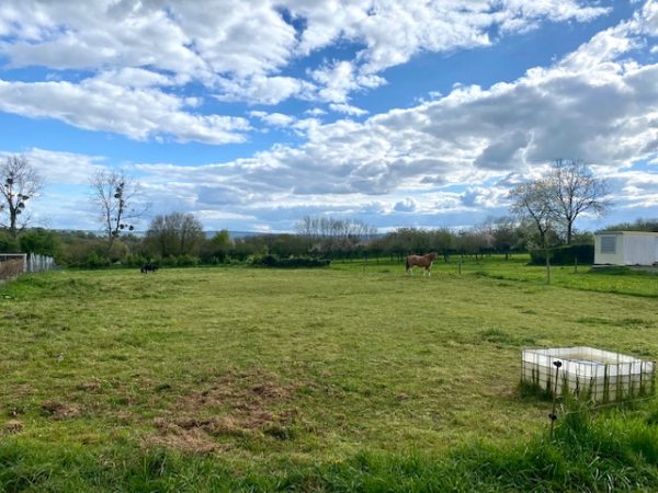 maison à vendre Condé-sur-Vire 50890