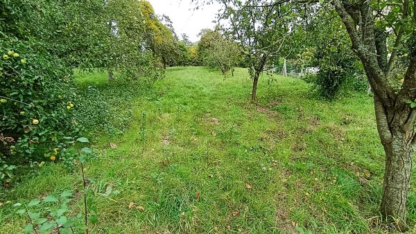 terrain à vendre Condé-sur-Vire 50890