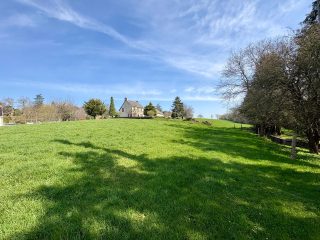 Terrain à Condé-sur-Vire — photo 3